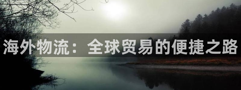 28圈为什么没有赢过一次：海外物流：