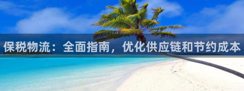 28圈游戏链接：保税物流：全面指南，