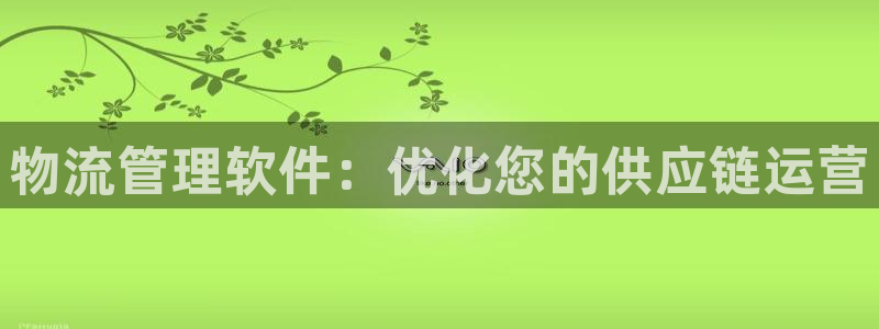 28圈链接来一个：物流管理软件：优化