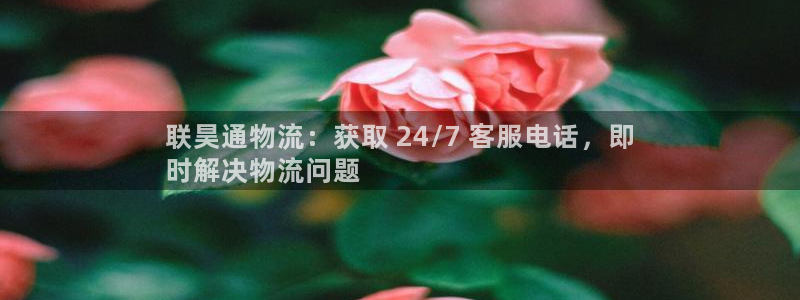 28圈官方：联昊通物流：获取 24/